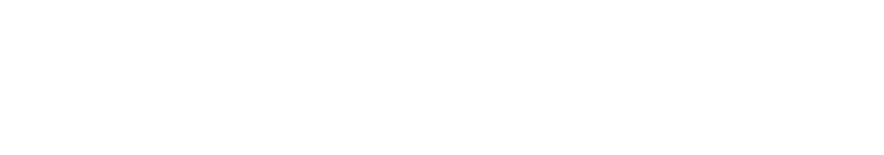 Secco Logo